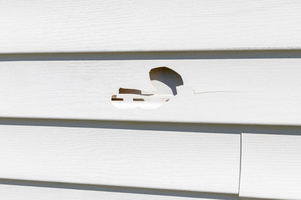 Custom Trim and Detailing for Siding in Winchester, OH